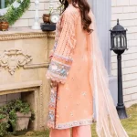 Adans Libas Rarity Glance Unstitched Lawn 3Pcs- What U Wear