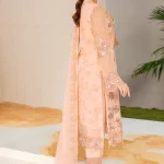 Ramsha Chiffon Unstitched 3Pcs Vol-22- What U Wear