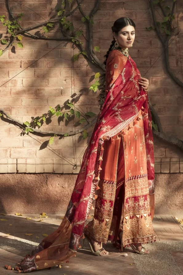 Ayzel By Afrozeh Embroidered Chiffon 3pcs- What U Wear (45)