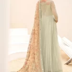Iznik Luxury Embroidered Net Suit-CC-05 EVIANA- What U Wear