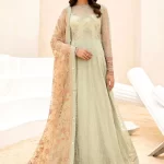 Iznik Luxury Embroidered Net Suit-CC-05 EVIANA- What U Wear