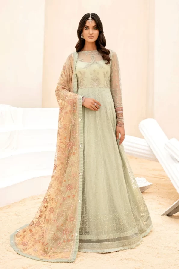Iznik Luxury Embroidered Net Suit-CC-05 EVIANA- What U Wear
