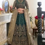 Iznik Luxury Embroidered Net Suit-CC-20 MIA- What U Wear