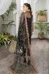 Adan’s Libas Amira Emb. Hand Embellished Organza Semi Stitched 3pcs- What U Wear