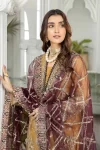 Adan’s Libas Amira Emb. Hand Embellished Organza Semi Stitched 3pcs- What U Wear