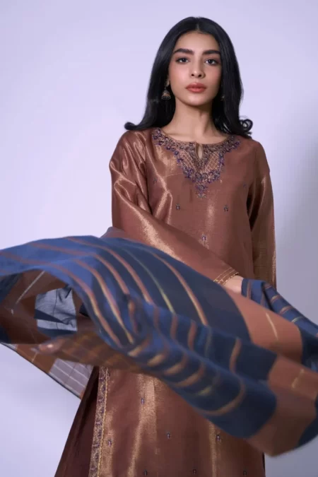 Stitched 3 Piece Mysuri Net Embroidered Outfit- What U Wear