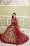 Afrozeh Luxury Embroidered Net Wedding Formals-Norah- What U Wear