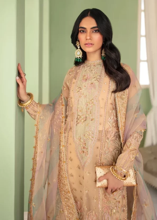 Afrozeh Luxury Embroidered Organza 3pcs-CELESTE- What U Wear