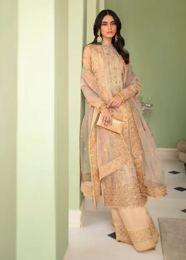 Afrozeh Luxury Embroidered Organza 3pcs-CELESTE- What U Wear