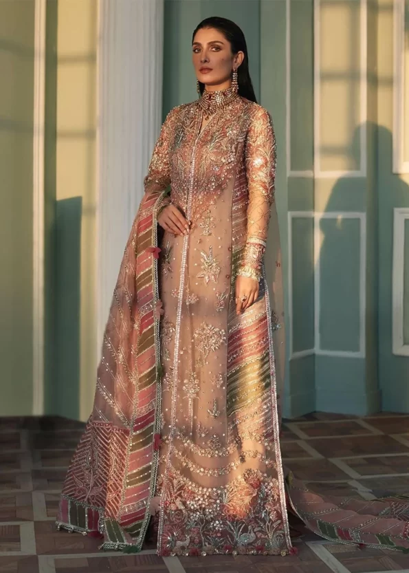 Elan Premium Wedding Suit-Mehr- What U Wear
