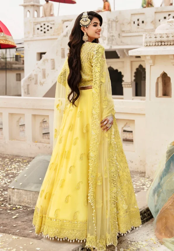 Kayseria Bridal ’24-SB-18 Zard Luxury Suit