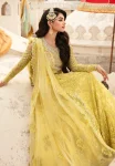 Kayseria Bridal ’24-SB-18 Zard Luxury Suit