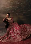 Afrozeh The Bride’s Edit ’23- Adelaide