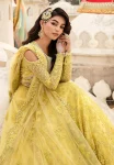 Kayseria Bridal ’24-SB-18 Zard Luxury Suit