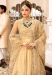 Kayseria Bridal ’24-SB-17 Siara Luxury Suit