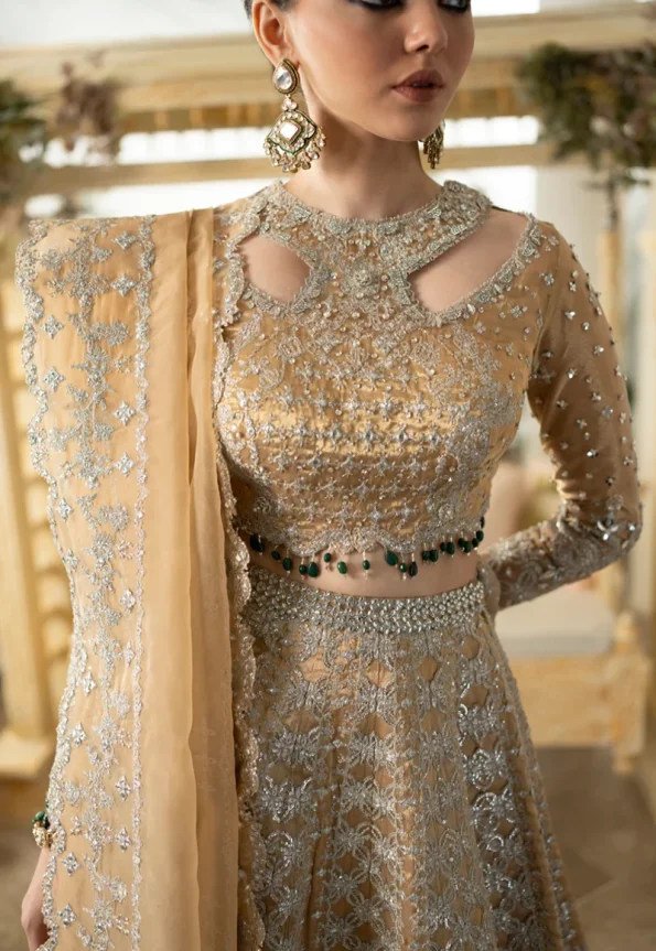 Qalamkar Wedding Formals 23- DN-01 IMAAN