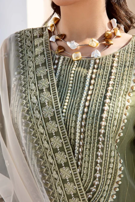 Akbar Aslam- Organza Suit-REHEMA-02