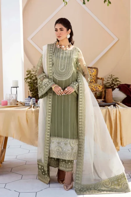 Akbar Aslam- Organza Suit-REHEMA-02