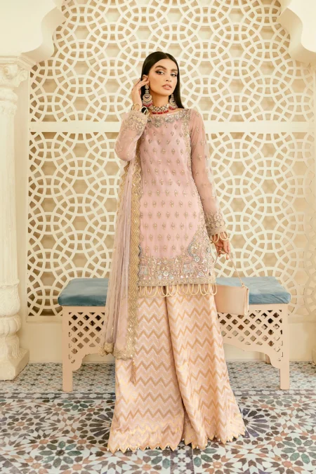 Akbar Aslam- Organza Suit-ORIOLE-03