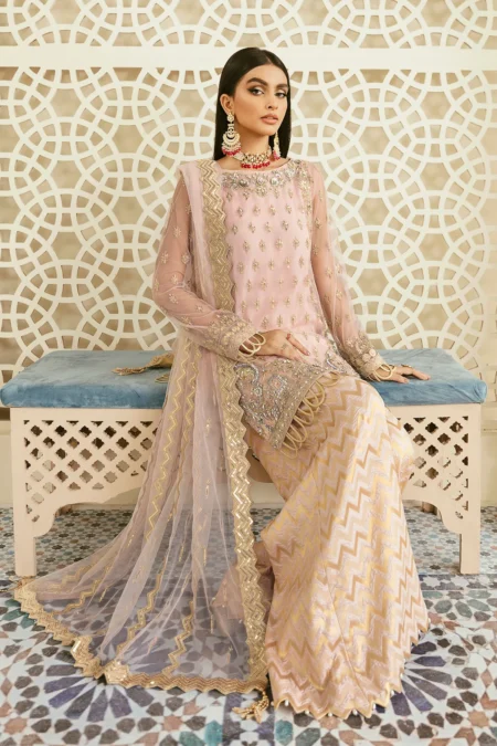 Akbar Aslam- Organza Suit-ORIOLE-03