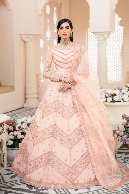 Akbar Aslam- Organza Suit-BLUSH-04