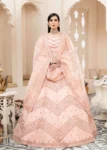 Akbar Aslam- Organza Suit-BLUSH-04