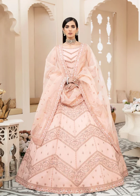 Akbar Aslam- Organza Suit-BLUSH-04