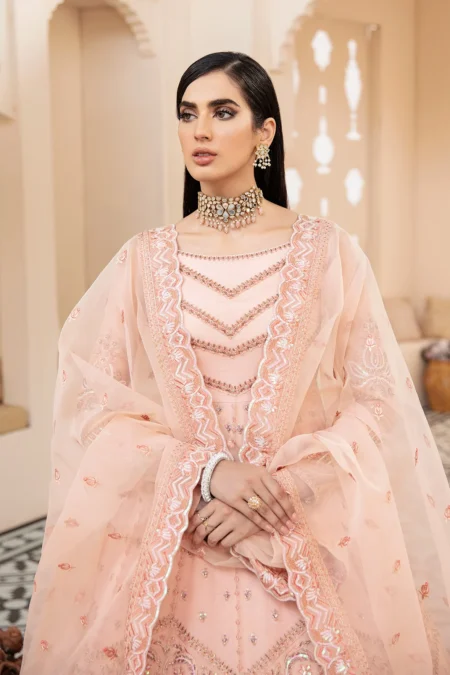 Akbar Aslam- Organza Suit-BLUSH-04