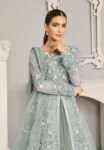 Akbar Aslam- Organza Suit-VERONICA-07