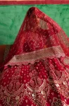 Afrozeh Formal Collection-Shehnai-Wedding-Gulabposh