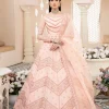 Akbar Aslam- Organza Suit-BLUSH-04