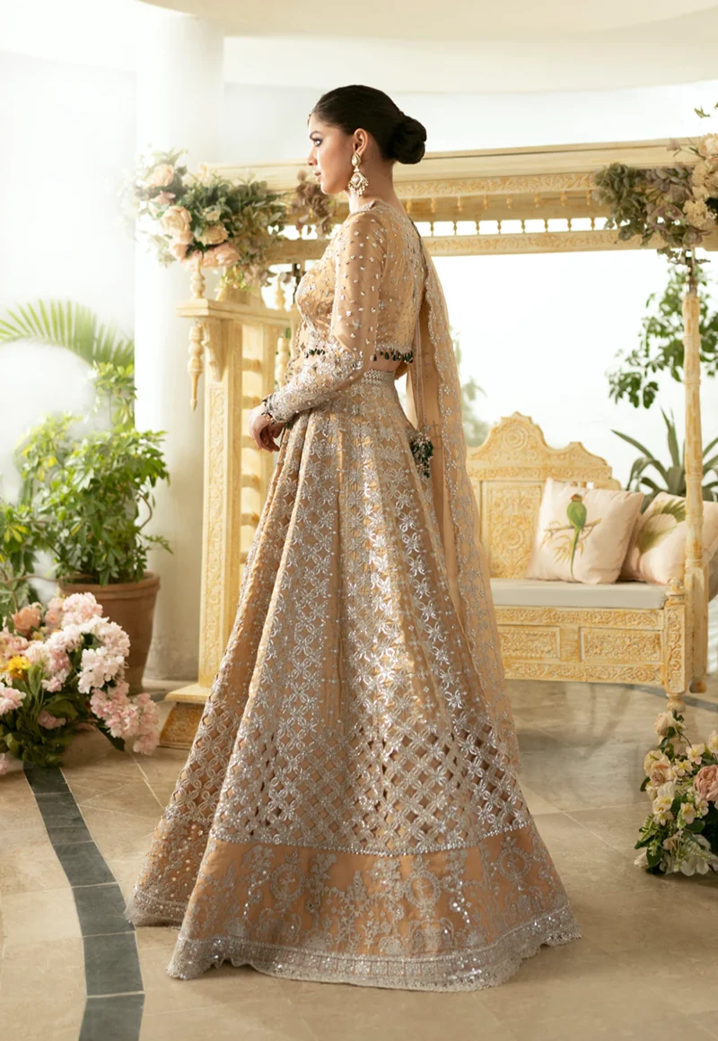 Qalamkar Wedding Formals 23- DN-01 IMAAN