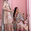 Iznik Banaras Luxury Chiffon 3Pcs- What U Wear