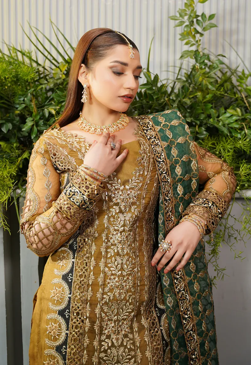 Maryam's Embroidered Organza 3pcs-S-102