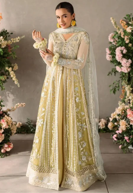 Mushq-Mastani Evening Premium Chiffon-Hira