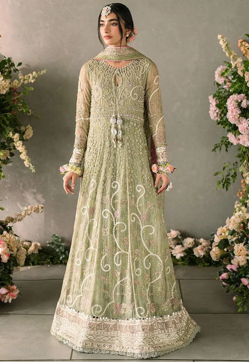 Mushq-Mastani Evening Premium Chiffon-Namar