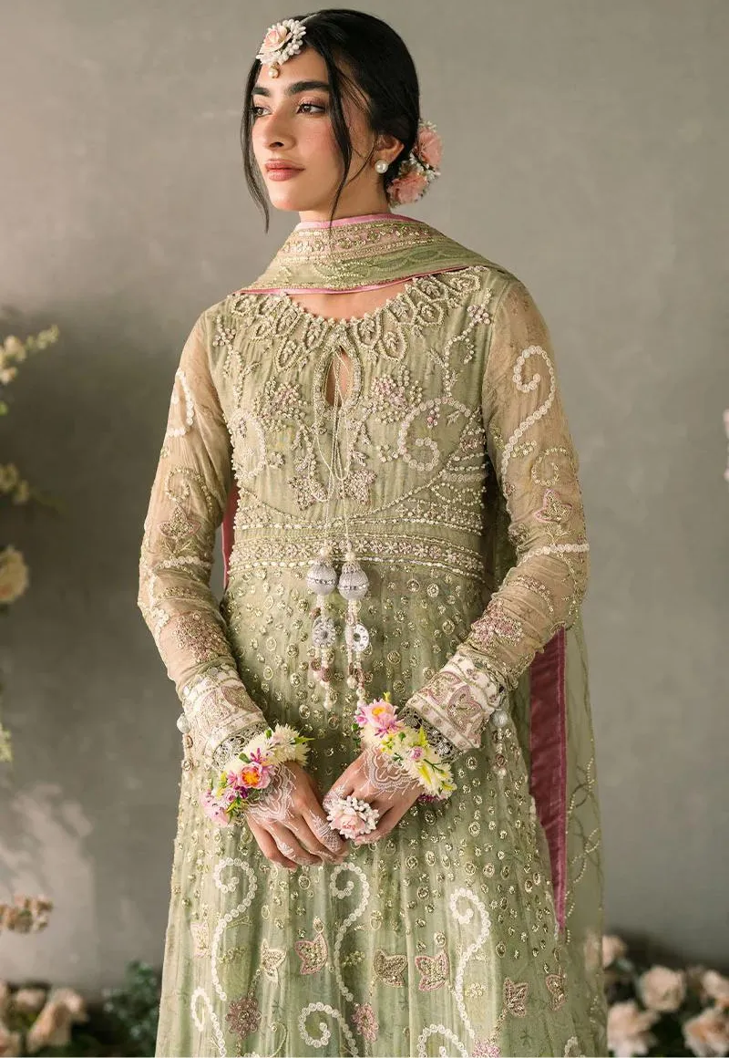 Mushq-Mastani Evening Premium Chiffon-Namar