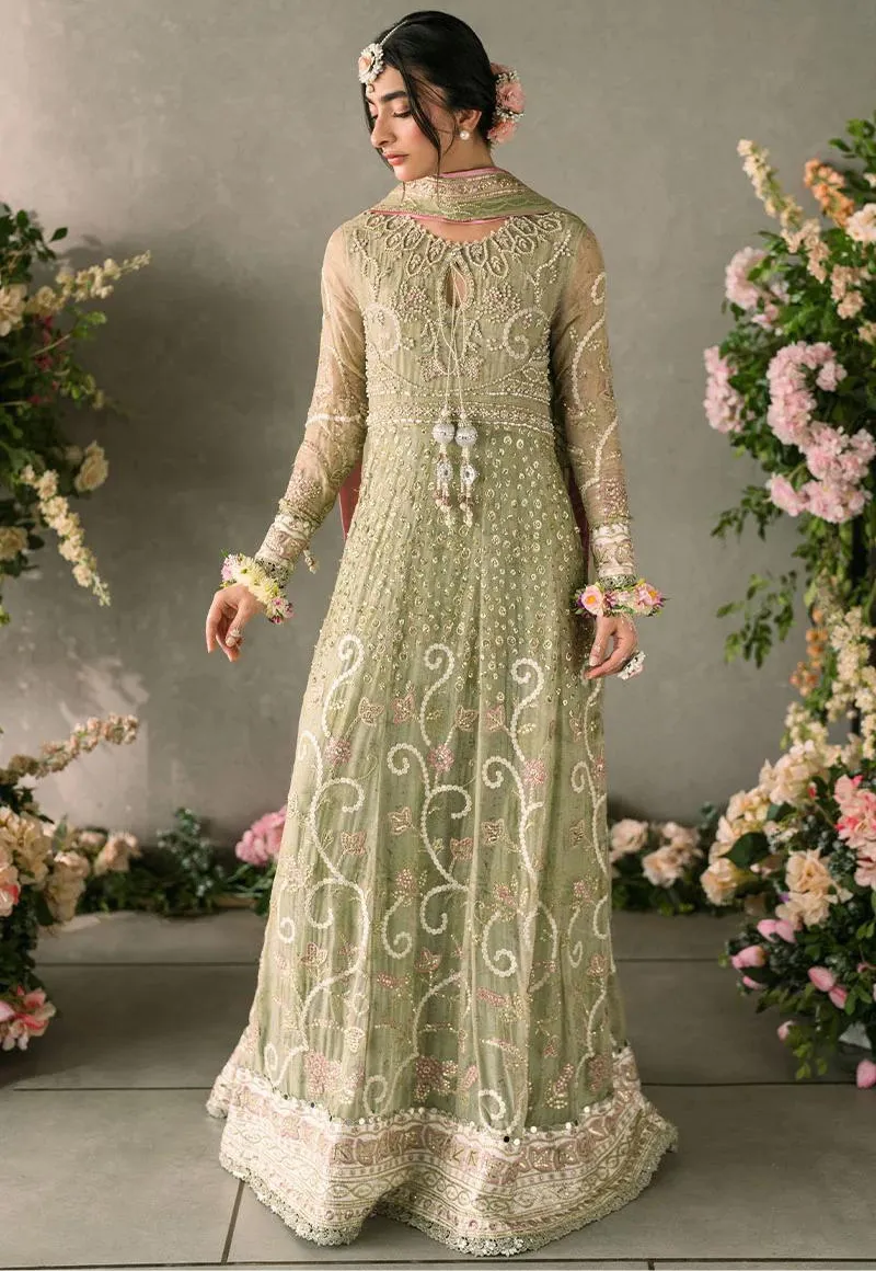 Mushq-Mastani Evening Premium Chiffon-Namar