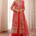 Maryam's Embroidered Organza-M-102