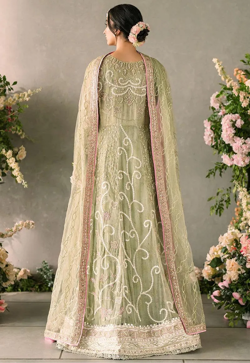 Mushq-Mastani Evening Premium Chiffon-Namar