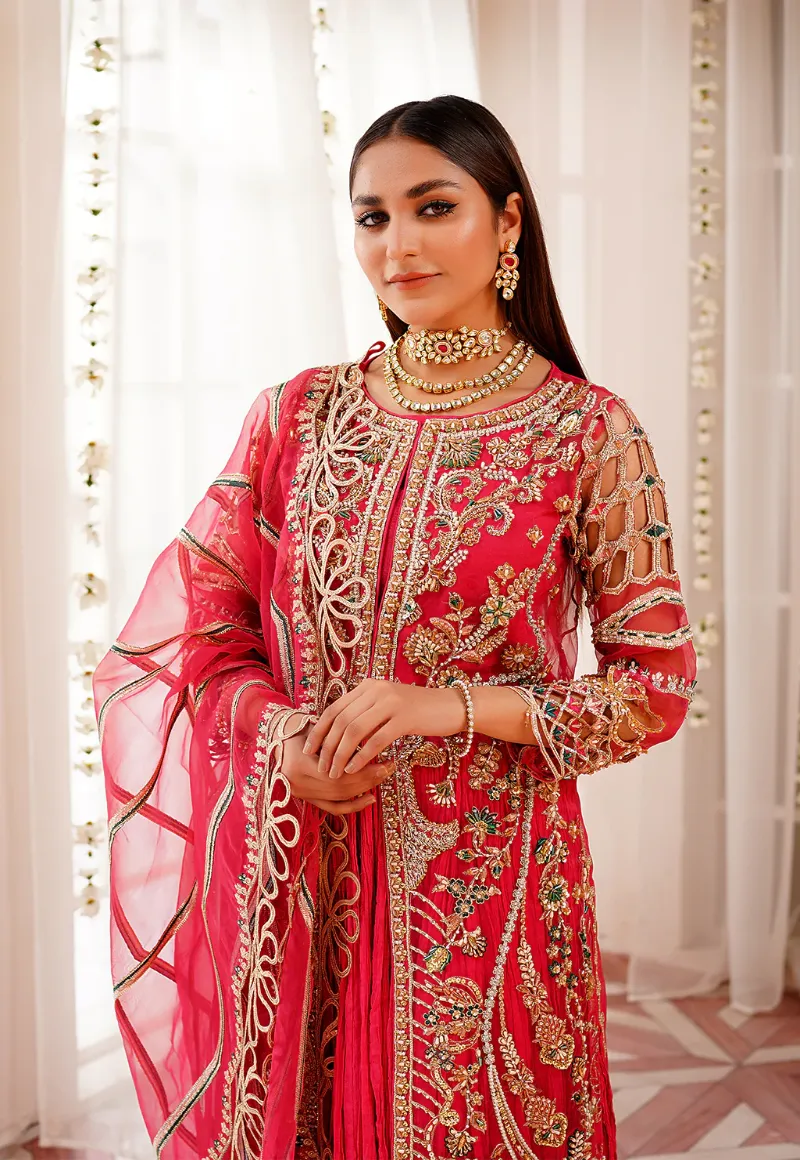 Maryam's Embroidered Organza-M-102