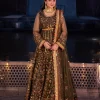 Asim Jofa Chandni Raatein Embroidered Chiffon 3pcs-09