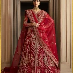 Akbar Aslam Luxury Wedding Organza Embroidered- Solene