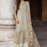 Embroidered Chiffon