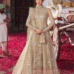 Veere Di Wedding Brides Edit '25